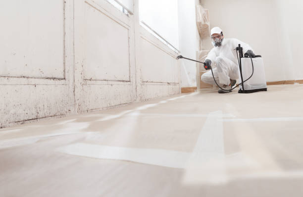 24/7 Emergency Bathroom Mold Removal experts in Spring Lake, NC