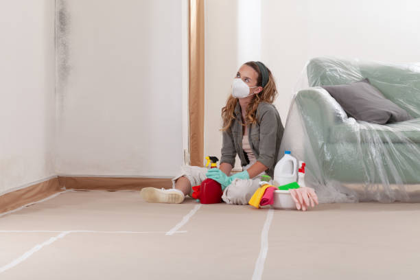 Reliable Bathroom Mold Removal contractor in Spring Lake, NC by Mold Remediation HQ