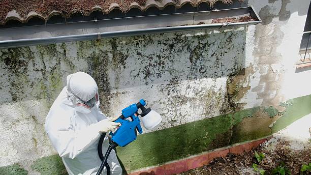Top rated local Bathroom Mold Removal specialists in Spring Lake, NC